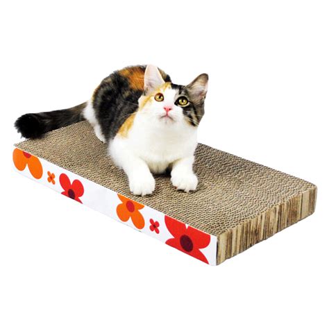 Witchcraft kitty scratching board